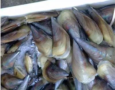 通報！惠州市食藥監局抽檢75批次食品，這些被查出不合格！豆及薯類